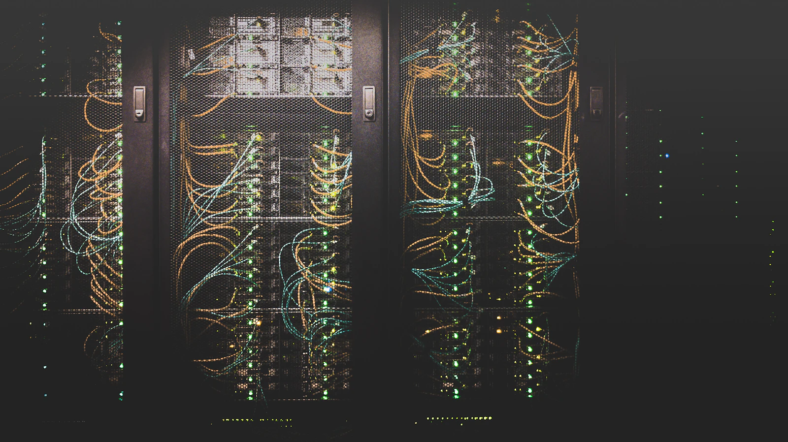 Cavi di rete collegati in un armadio server